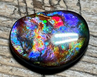 Collector's Special, Rare Floral Pattern Ammolite Cabochon, Freeform Canadian Ammonite Gemstone