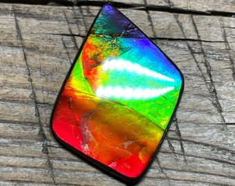 Rainbow Multicoloured Ammolite Gemstone Cabochon, Freeform Canadian Ammonite Gem