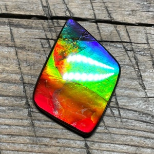 Rainbow Multicoloured Ammolite Gemstone Cabochon, Freeform Canadian Ammonite Gem