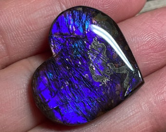 Purple Blue Ammolite Cabochon, Freeform Ammonite Gemstone