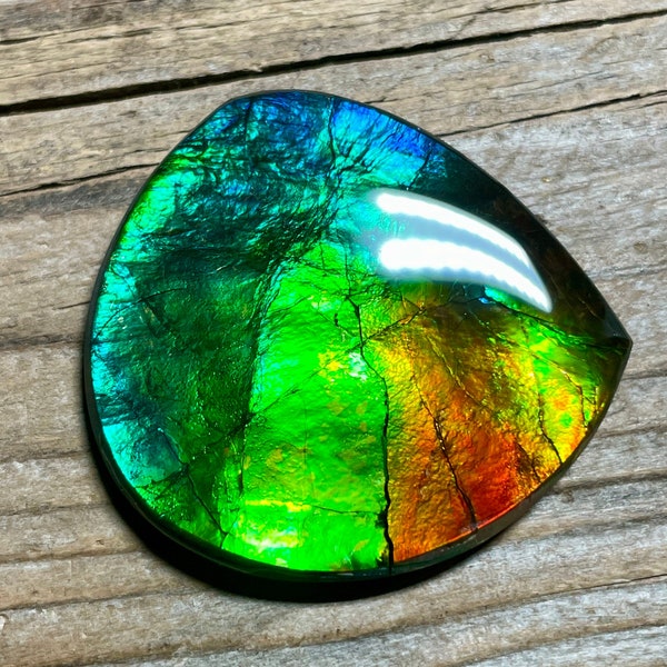 Cabochon en ammolite rare avec corne/boule de dragon, multicolore