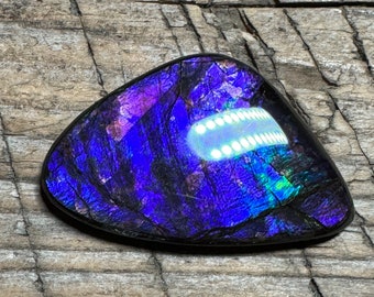 Purple Blue Ammolite Cabochon, Freeform Ammonite Gemstone