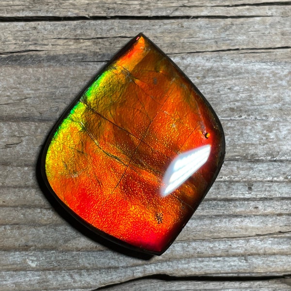 Bright Red Ammolite Gemstone Cabochon, Freeform Canadian Ammonite Gem