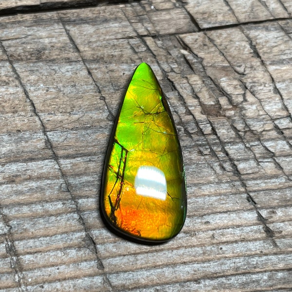 Ammolite Gemstone Cabochon, Freeform Canadian Ammonite Gem, Green Gold