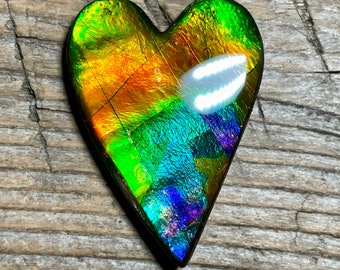 Rainbow Ammolite, Loose Gemstone, Natural Canadian Ammonite Fossil, Heart