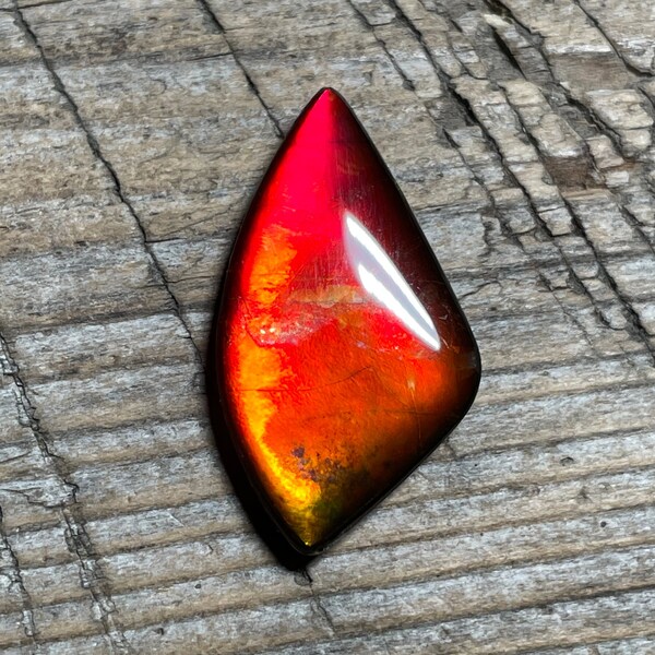 Bright Red Ammolite Gemstone Cabochon, Freeform Canadian Ammonite Gem