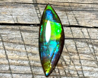 925 Sterling Silver Pendant Ammonite FSJ-3772 Ravishing Impressions Stylish Canadian Natural Ammolite Red Green Yellow Flashy Fire Gemstone Pendant 925 Sterling Silver Pendant Ammonite FSJ-3772 Ravishing Impressions Stylish Canadian Natural Ammolite Red Green Yellow Flashy Fire Gemstone Pendant