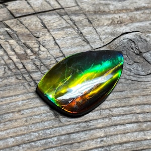 Ammolite Polished Cabochon , Freeform Canadian Ammonite Gemstone Bright Green 26 x 15.2 x 3mm