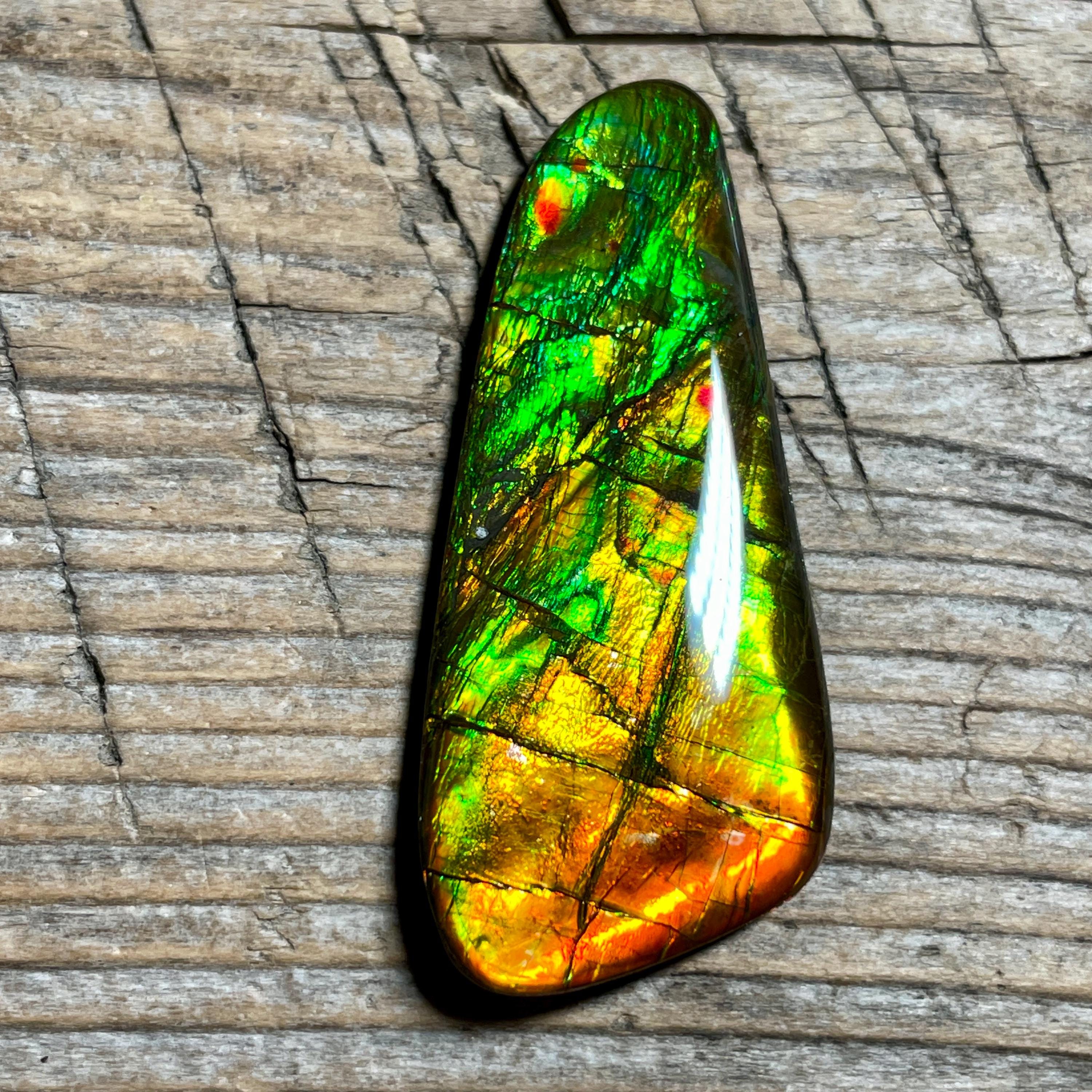 Ammolite cost hot sale