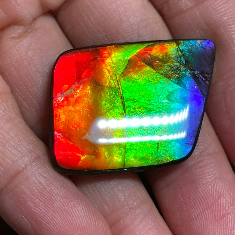Rainbow Multicoloured Ammolite Gemstone Cabochon, Freeform Canadian Ammonite Gem image 4