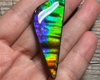 Ammolite Cabochon, Freeform Ammonite Gemstone, Blue Green