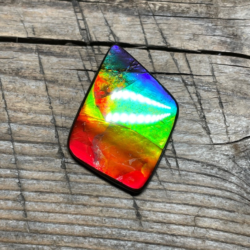 Rainbow Multicoloured Ammolite Gemstone Cabochon, Freeform Canadian Ammonite Gem image 1