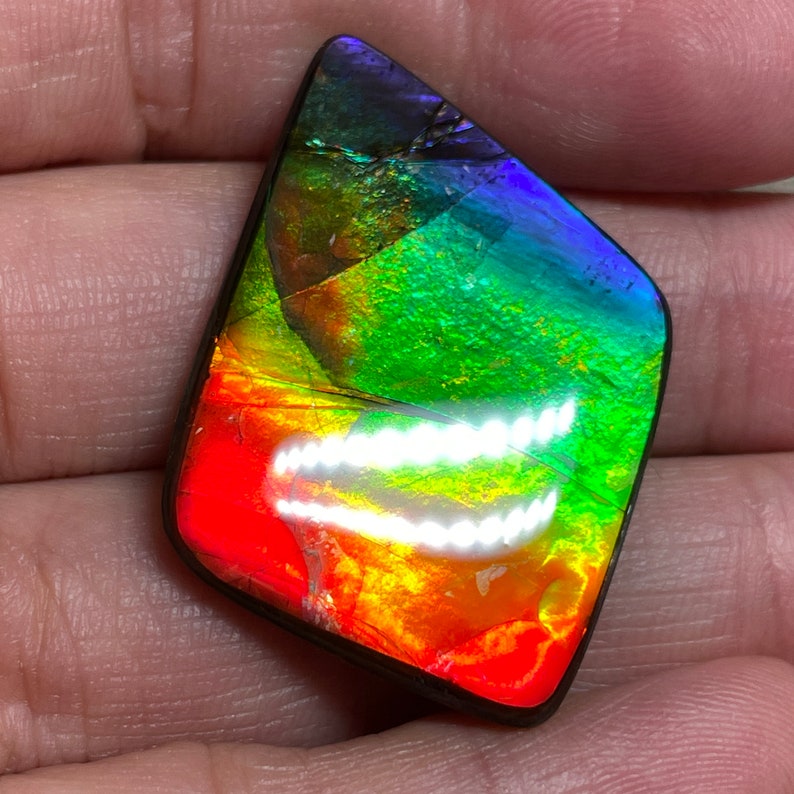 Rainbow Multicoloured Ammolite Gemstone Cabochon, Freeform Canadian Ammonite Gem image 5