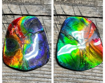 Ammolite Imperial Double Sided Polished Gem Display, Natural Canadian ammonite Fossil