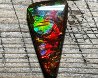 Ammolit Edelstein Freeform Cabochon