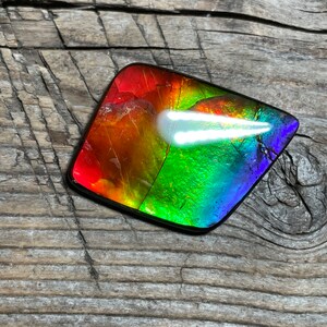 Rainbow Multicoloured Ammolite Gemstone Cabochon, Freeform Canadian Ammonite Gem image 2