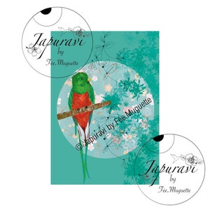 Illustration Quetzal imprimée sur papier Fine Art - format carte postale - Japuravi by Fée.Muguette