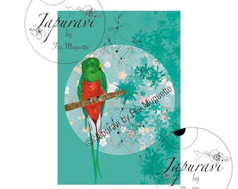 Quetzal illustration printed on Fine Art paper - postcard size - Japuravi by Fée.Muguette