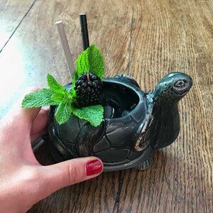May include: A dark blue ceramic turtle mug with a black blackberry and green mint leaves inside. The mug is sitting on a wooden table.