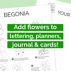 Pu&ograve; includere: Un foglio di lavoro stampabile in bianco e nero con istruzioni su come disegnare un fiore di begonia. Il foglio di lavoro include una guida passo passo con illustrazioni. Il testo recita "Aggiungi fiori a calligrafia, pianificatori, diari e biglietti!"