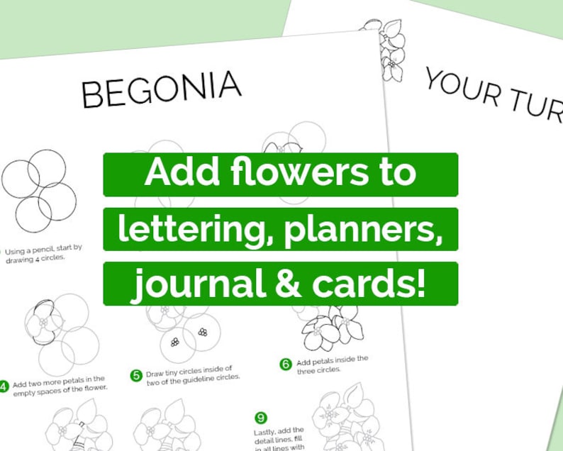 Pu&ograve; includere: Un foglio di lavoro stampabile in bianco e nero con istruzioni su come disegnare un fiore di begonia. Il foglio di lavoro include una guida passo passo con illustrazioni. Il testo recita "Aggiungi fiori a calligrafia, pianificatori, diari e biglietti!"