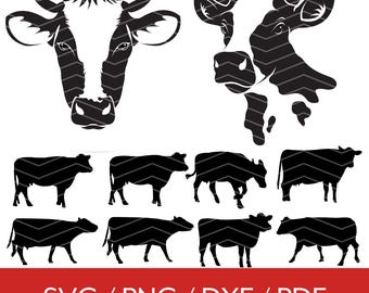 Bundle SVG vache, vache Clipart Png, clipart vache, vache Silhouette, design en sublimation, vache fille Svg, vache fichier coupe Svg vache pour Cricut & Silhouette