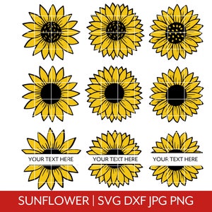 Zonnebloem SVG, Bloemen, Bundel, T-shirt, Vinyl, Vector, Grafisch, Cricut, Silhouet, Digitaal, Instant download, Monogram Svg, Halve Zonnebloem