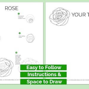 Pu&ograve; includere: Un tutorial di disegno stampabile per una rosa. Il tutorial comprende sei passaggi con illustrazioni di ogni passaggio. L'ultimo passaggio mostra un disegno di rosa completato. Il testo "Easy to Follow Instructions & Space to Draw" &egrave; su un pulsante verde. Il testo "YOUR TURN" &egrave; sul lato destro della pagina.