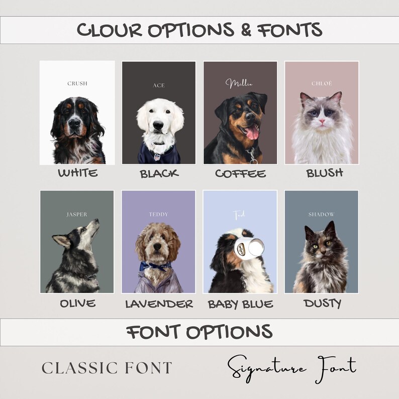 May include: A chart with color options and font options for pet portraits. The color options are white, black, coffee, blush, olive, lavender, baby blue, and dusty. The font options are classic font and signature font.