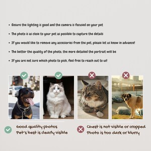 May include: A guide to taking good quality photos of pets for custom pet portraits.  The first image shows a well-lit photo of a dog with its chest visible. The second image shows a well-lit photo of a cat with its chest visible. The third image shows a photo of a cat with its chest not visible. The fourth image shows a photo of a dog with its chest not visible and the photo is too dark.