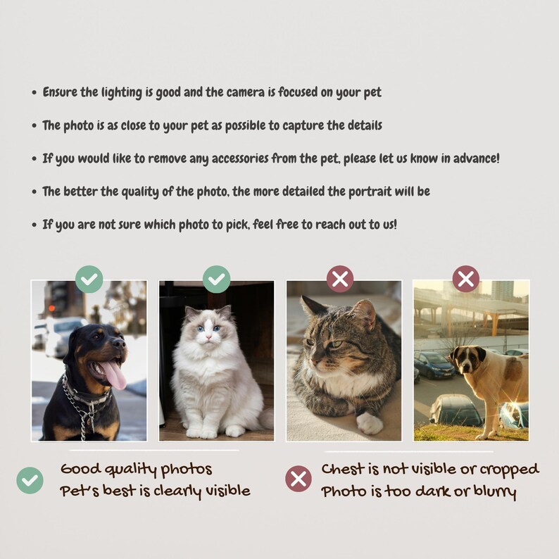 May include: A guide to taking good quality photos of pets for custom pet portraits.  The first image shows a well-lit photo of a dog with its chest visible. The second image shows a well-lit photo of a cat with its chest visible. The third image shows a photo of a cat with its chest not visible. The fourth image shows a photo of a dog with its chest not visible and the photo is too dark.