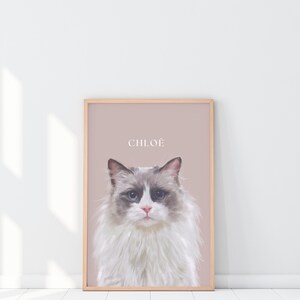 May include: A framed print of a cat named Chloe. The cat is a Ragdoll with white, gray, and brown fur. The background is a light pink color.
