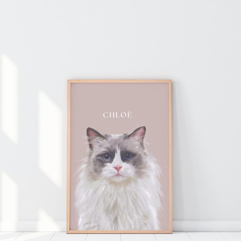 May include: A framed print of a cat named Chloe. The cat is a Ragdoll with white, gray, and brown fur. The background is a light pink color.