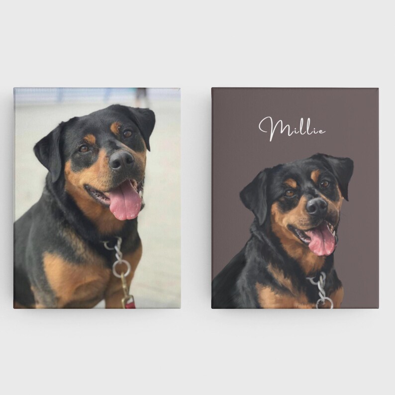 May include: A black and tan Rottweiler dog with a white name tag that says "Millie" on a brown background.