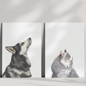 May include: Two separate illustrations of a dog and a cat. The dog is a black and white husky looking up. The cat is a grey and white fluffy cat looking to the right.