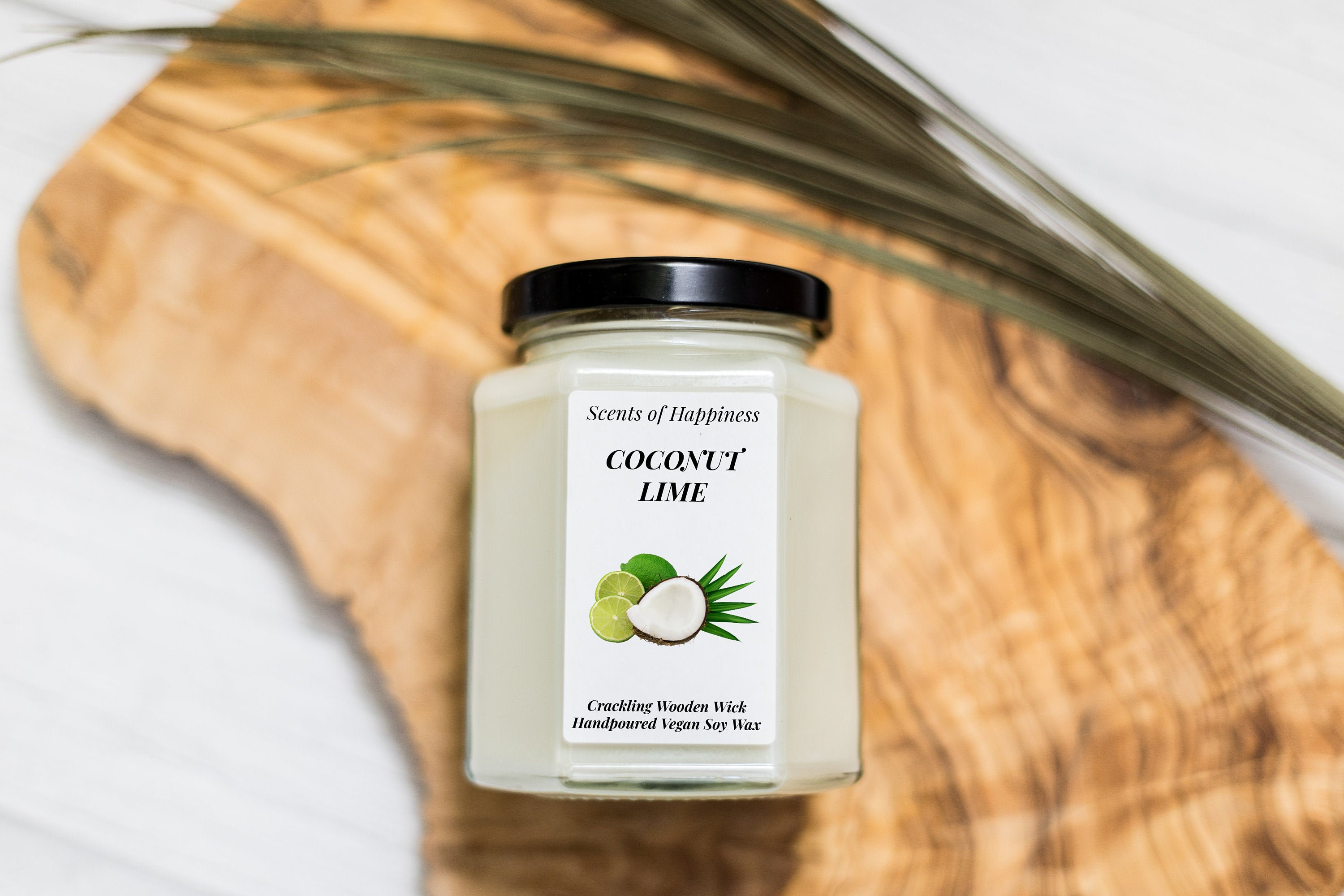 Coconut Lime Handmade Scented Candle Crackling Wooden Wick Etsy Australia