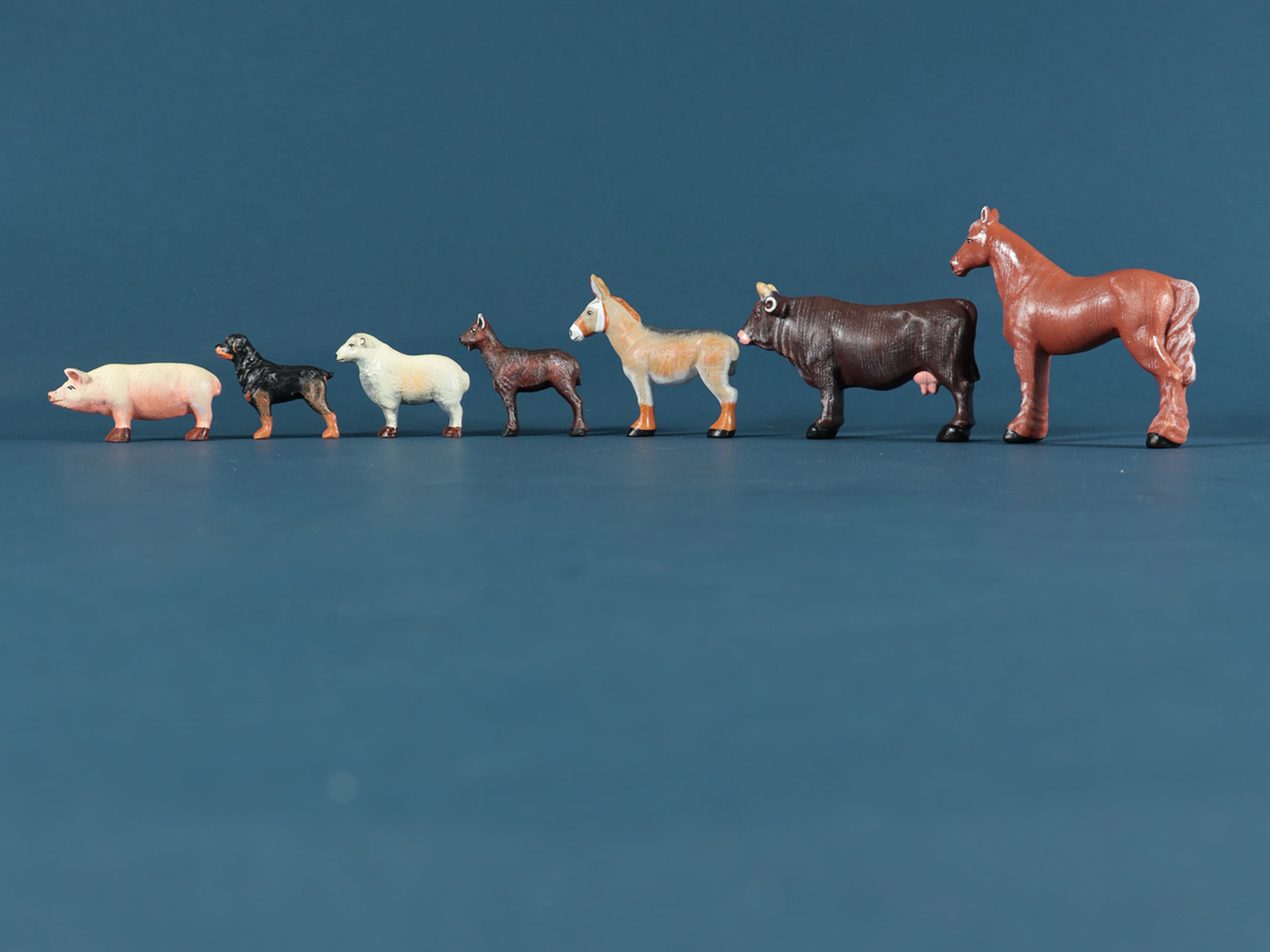 Toys Center Set Animali Animali Da Fattoria Giocattoli Set Di