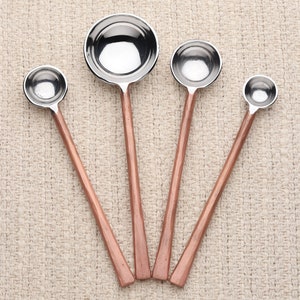 Sundance  Copper Antique Measuring Spoons Set