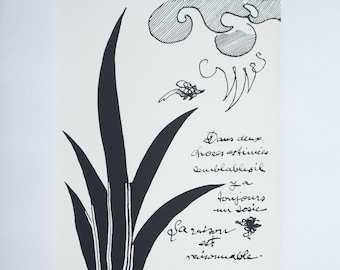 May include: A black and white ink drawing of a plant with a French quote that reads "Dans des choses estimées semblablesil ya toujours un sosie Sa raison est raisonnable." The quote is signed "S. Brugne".