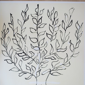 Le Buisson - Litografia Platane di Henri Matisse, 2016