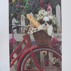 Signed offset lithograph by photographer Harvey Edwards titled Weekend Outing