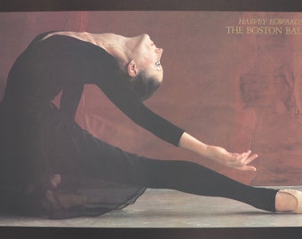 Harvey Edwards lithograph entitled 'Black Swan'