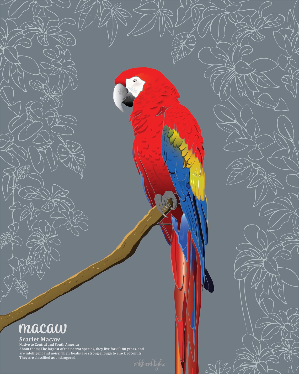Scarlet Macaw Printable Parrot Wall Art Colorful Bird Print | Etsy