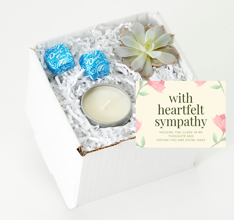 Sympathy Gift Sympathy Gift Box Sympathy Gift Set Succulent Etsy