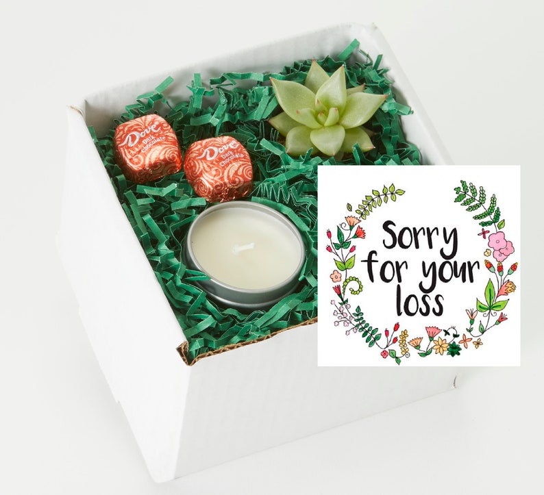 Sympathy Gift Sympathy Gift Box Sympathy Gift Set Succulent Etsy