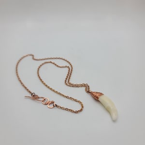 Coyote | Tooth | Rose Gold | Necklace