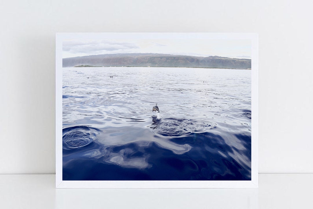 Marine Life Bathroom Wall Art PRINTABLE WALL ART Jumping Dolphin Poster Dolphin Artwork Dolphin