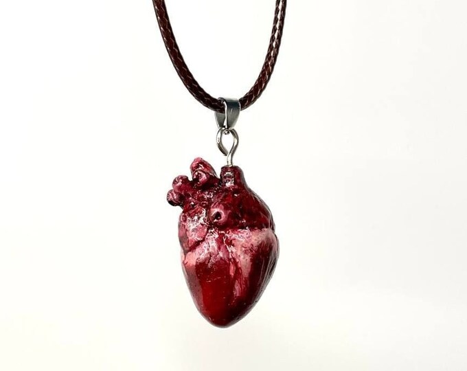 Realistic Human Heart Necklace, Anatomical Human Heart Pendant Etsy
