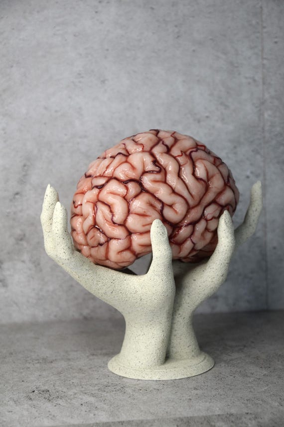Realistic human brain life size, anatomical accurate - Etsy 日本