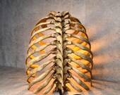 Anatomical Rib Cage Lamp, Gothic Skeleton Table Lamp, Realistic Spine Light, Dark Academia Decor, Biohorror Lighting